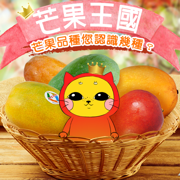芒果王國 芒果品種您認識幾種？--台灣在地優良農產品專賣中心
