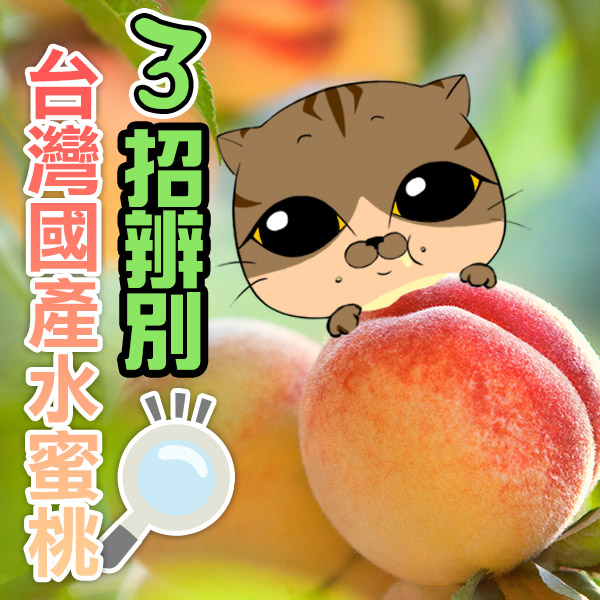 三招辨別台灣國產水蜜桃真偽--南農電舖--優良農產品專賣店